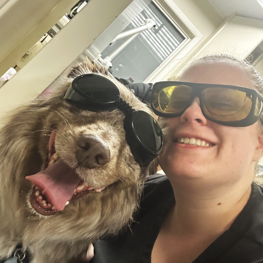 A dog getting laser treatment
